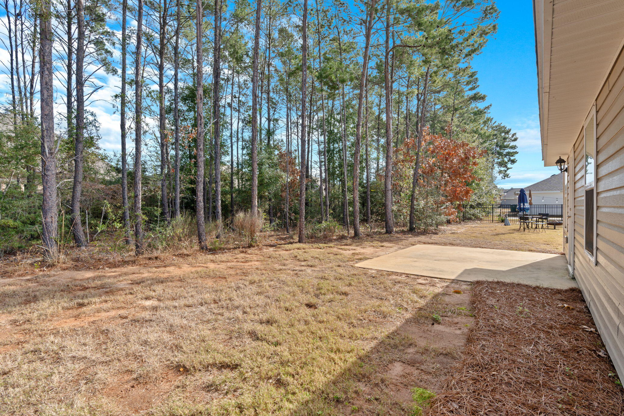 545 Earl Godwin Road Freeport, FL 32439 - Photo 34 of 50 a view of backyard with tree