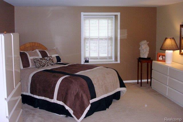 2819 Ranieri Drive Troy, MI 48085 - Photo 20 of 25 DSC05539