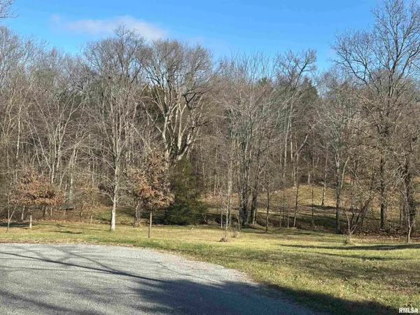 $21,500 | 0 Joyce Lane, Vienna, IL 62995