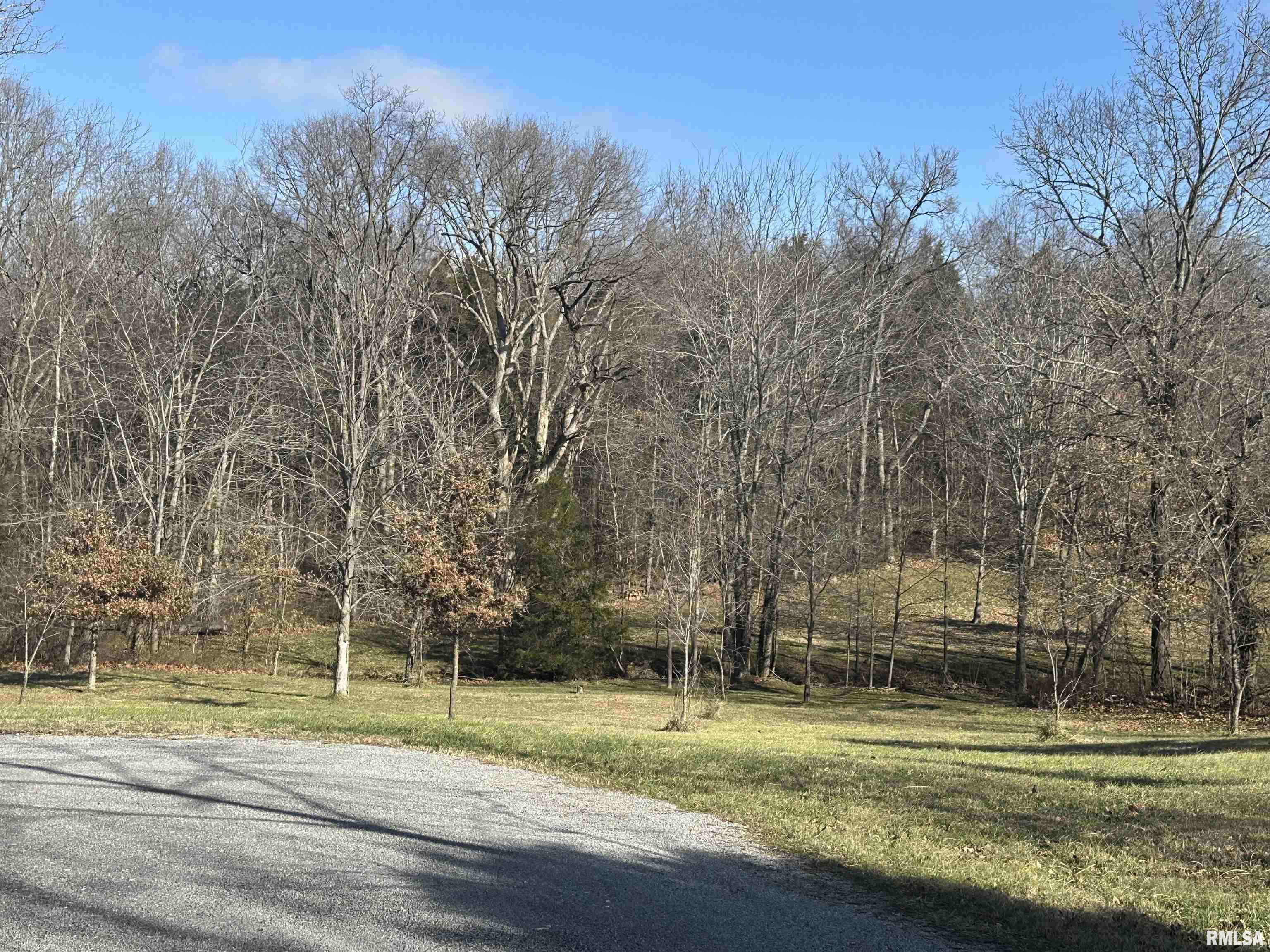 0 Joyce Lane Vienna, IL 62995 - Photo 2 of 7