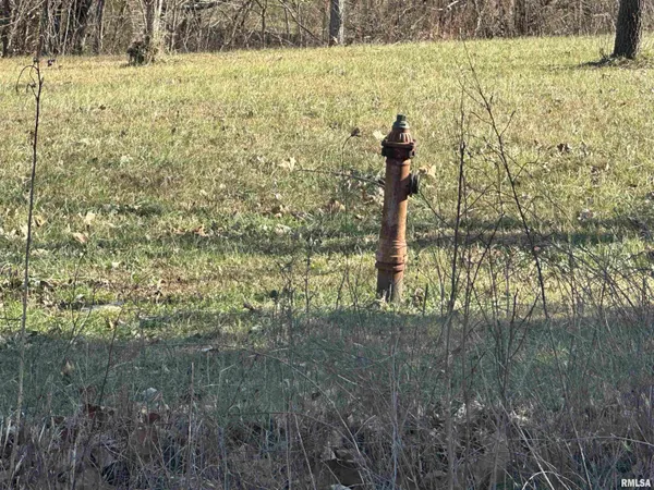 $21,500 | 0 Joyce Lane, Vienna, IL 62995