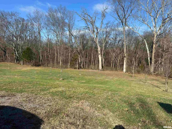 $21,500 | 0 Joyce Lane, Vienna, IL 62995