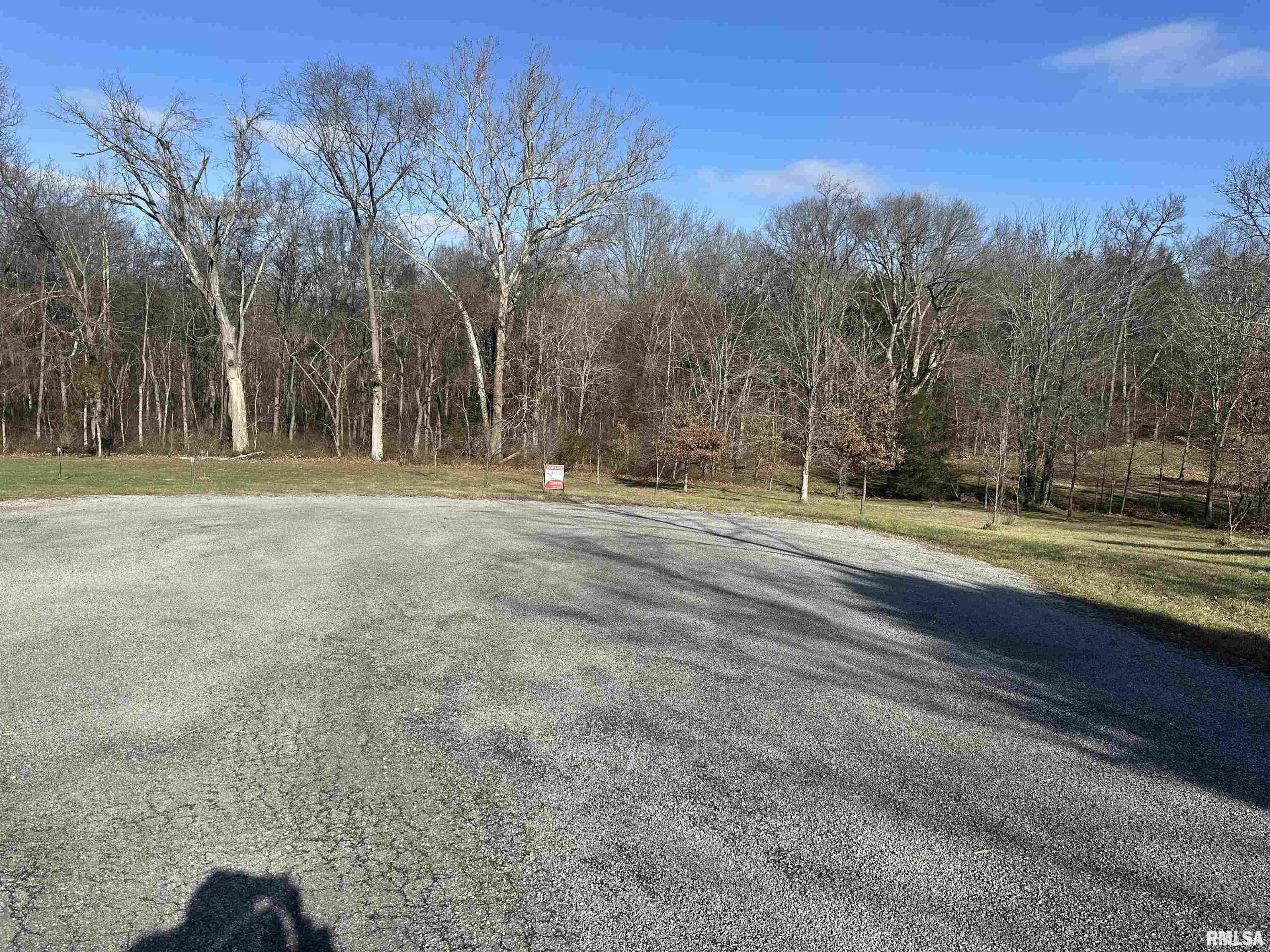 0 Joyce Lane Vienna, IL 62995 - Photo 6 of 7