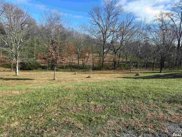 $21,500 | 0 Joyce Lane, Vienna, IL 62995