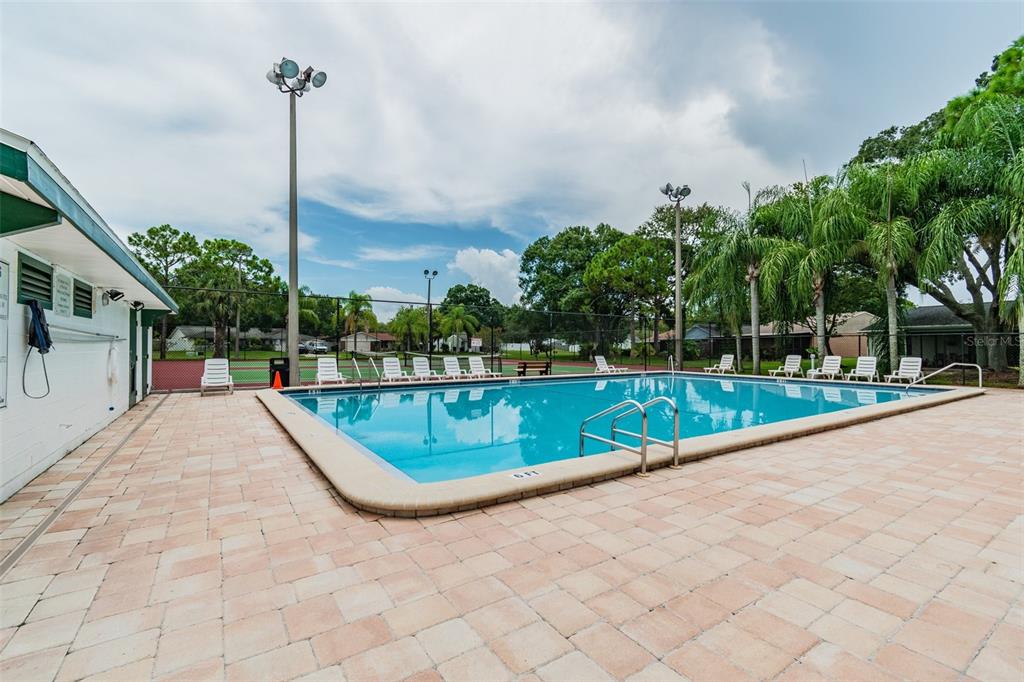 134 Sycamore Lane, Unit H Oldsmar, FL 34677 - Photo 33 of 44 a view of a swimming pool with a yard