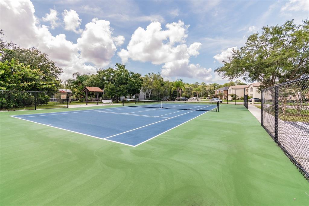 134 Sycamore Lane, Unit H Oldsmar, FL 34677 - Photo 35 of 44 a view of a tennis court