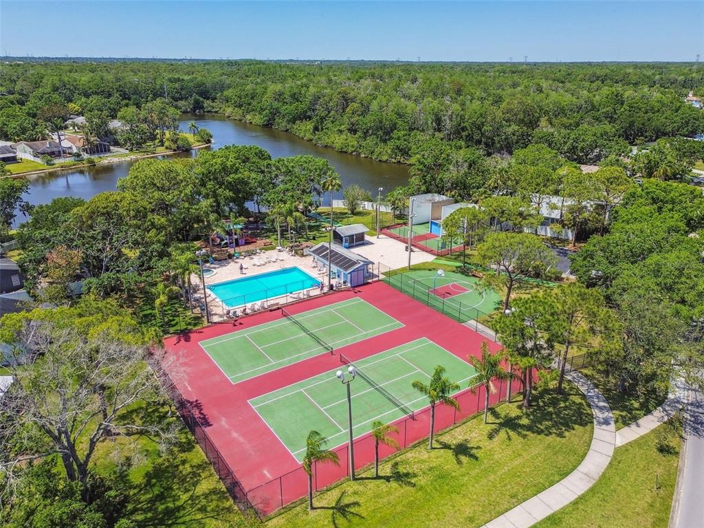 134 Sycamore Lane, Unit H Oldsmar, FL 34677 - Photo 41 of 44 a view of a city