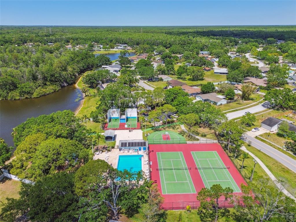 134 Sycamore Lane, Unit H Oldsmar, FL 34677 - Photo 42 of 44 an aerial view of residential houses with outdoor space and swimming pool