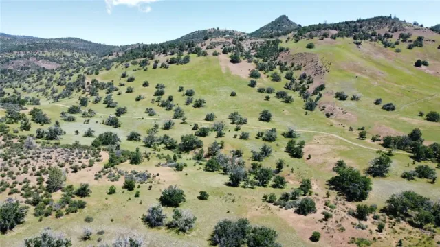 a view of a yard with a mountain