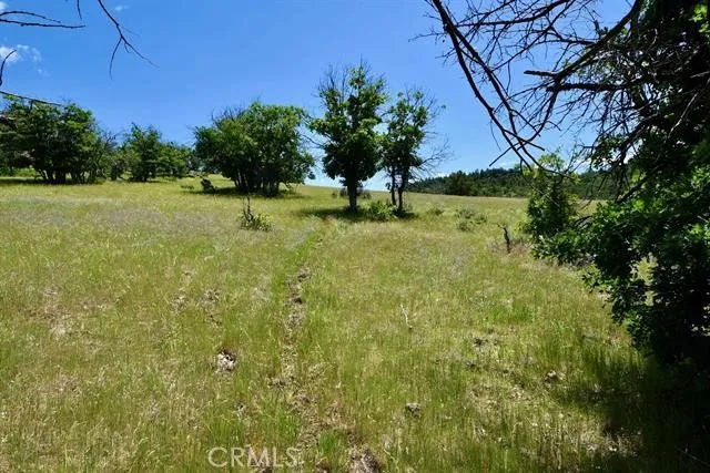 0 Yellow Dog Trail Hornbrook, CA 96044 - Photo 3 of 18 a view of a garden