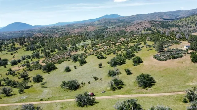 a view of a forest with a lake