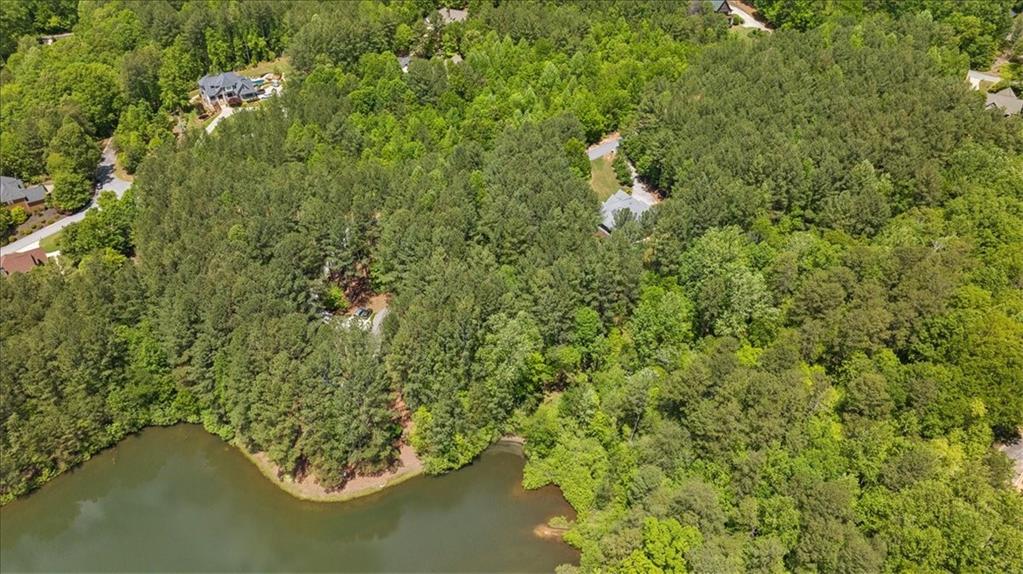 0 Golden Delicious Road Clarkesville, GA 30523 - Photo 8 of 15 Gallery Image 8