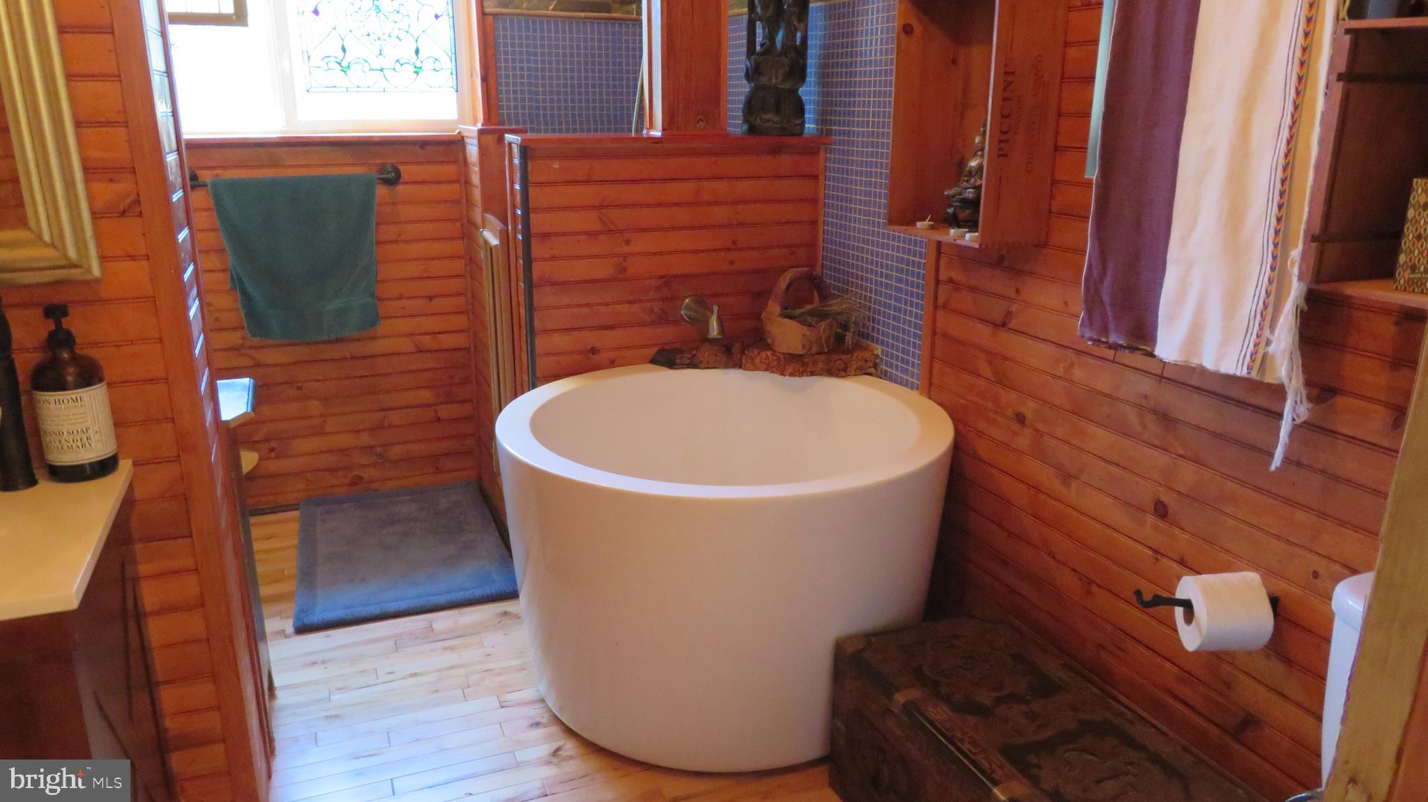 55 West View Lane Castleton, VA 22716 - Photo 34 of 64 Hall Bath with soaking tub
