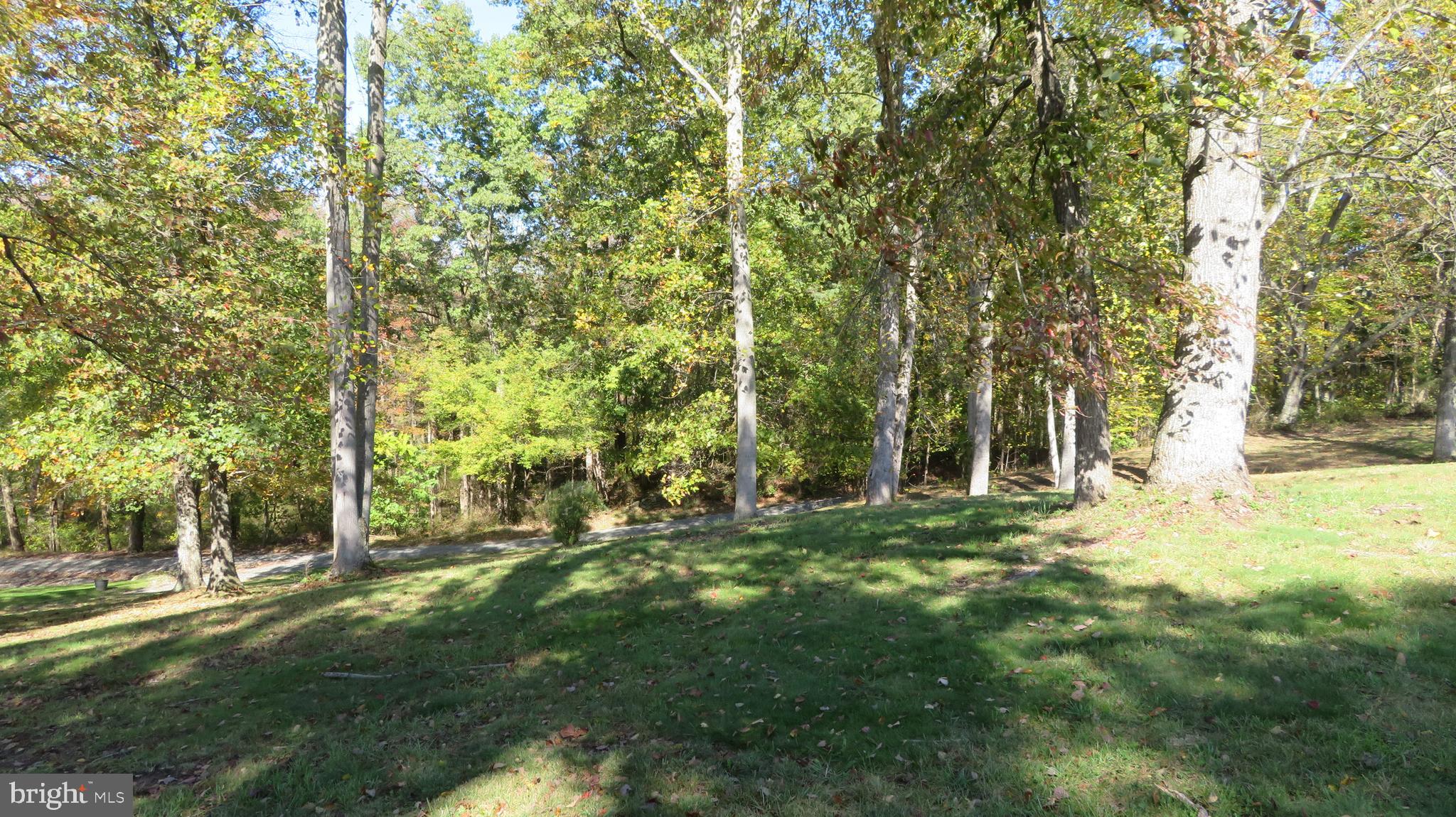 55 West View Lane Castleton, VA 22716 - Photo 54 of 64 Lawn above house
