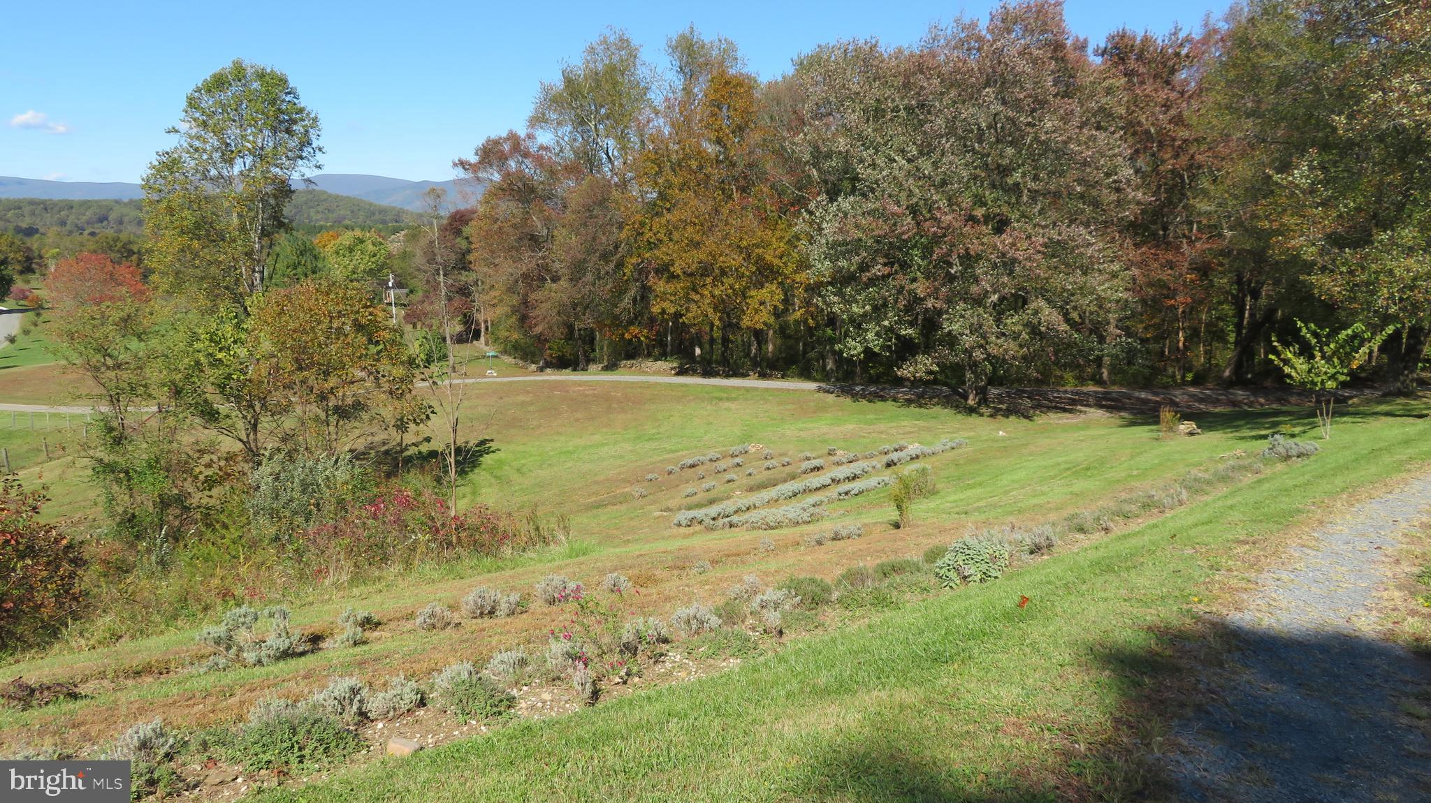 55 West View Lane Castleton, VA 22716 - Photo 55 of 64 Lavender Fields