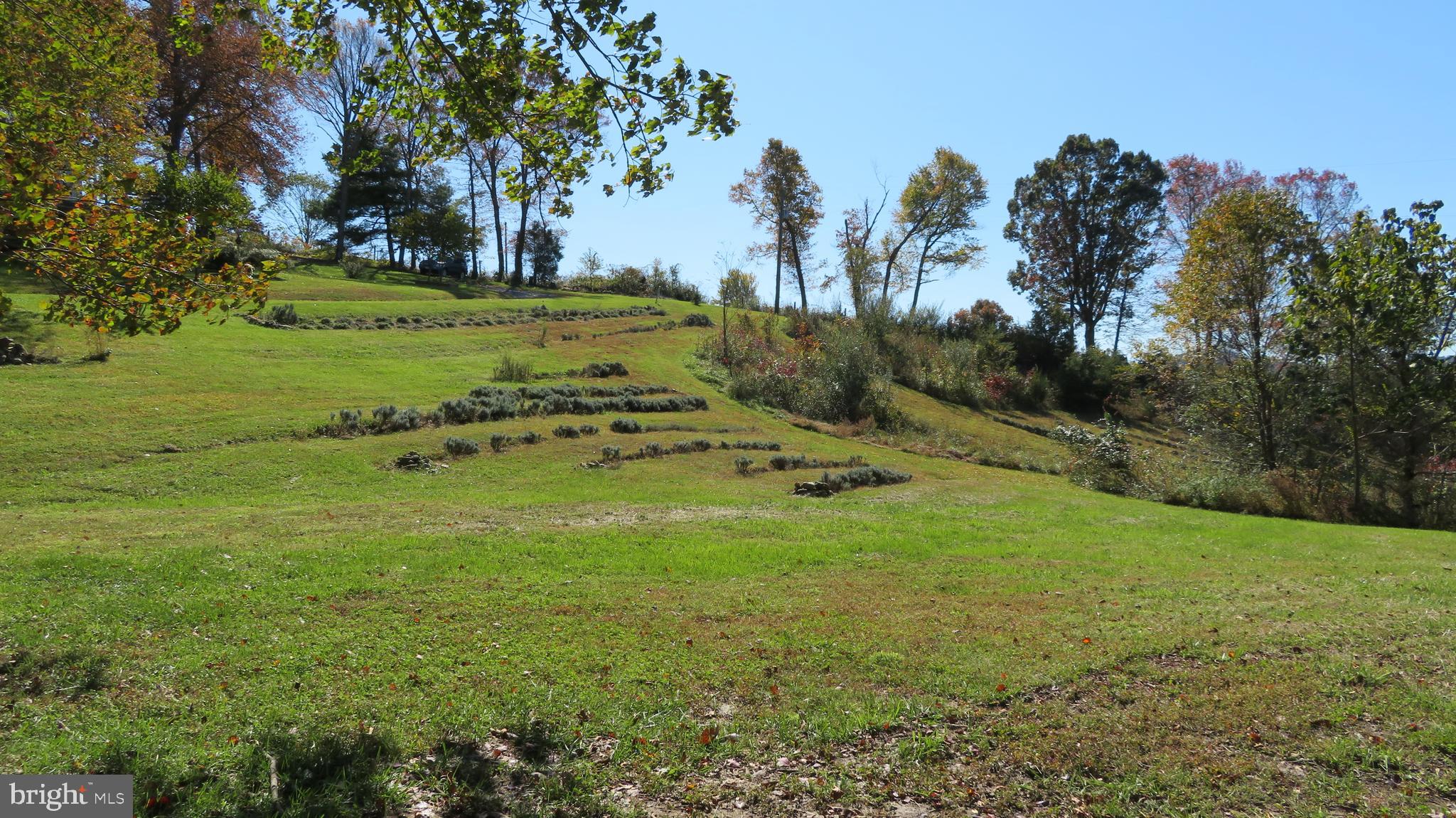 55 West View Lane Castleton, VA 22716 - Photo 57 of 64 View from Paddock