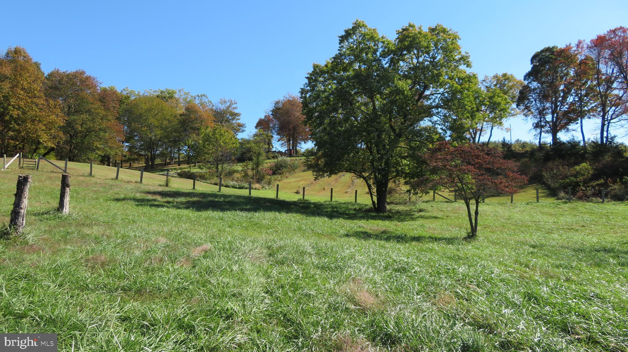 55 West View Lane Castleton, VA 22716 - Photo 61 of 64 Fenced paddock
