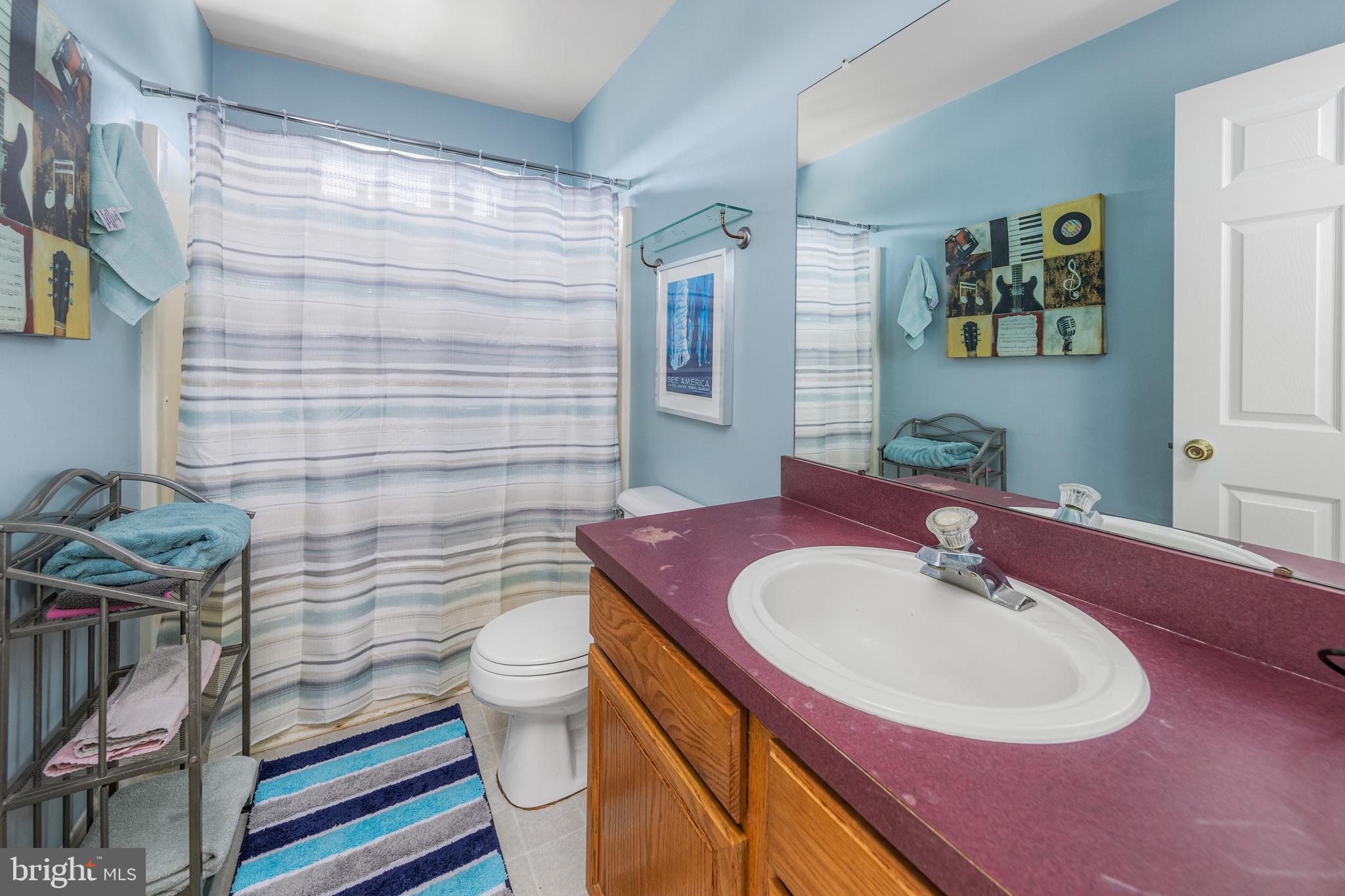 29 Peach Ridge Drive Mullica Hill, NJ 08062 - Photo 23 of 31 a bathroom with a sink a toilet a mirror and shower curtain