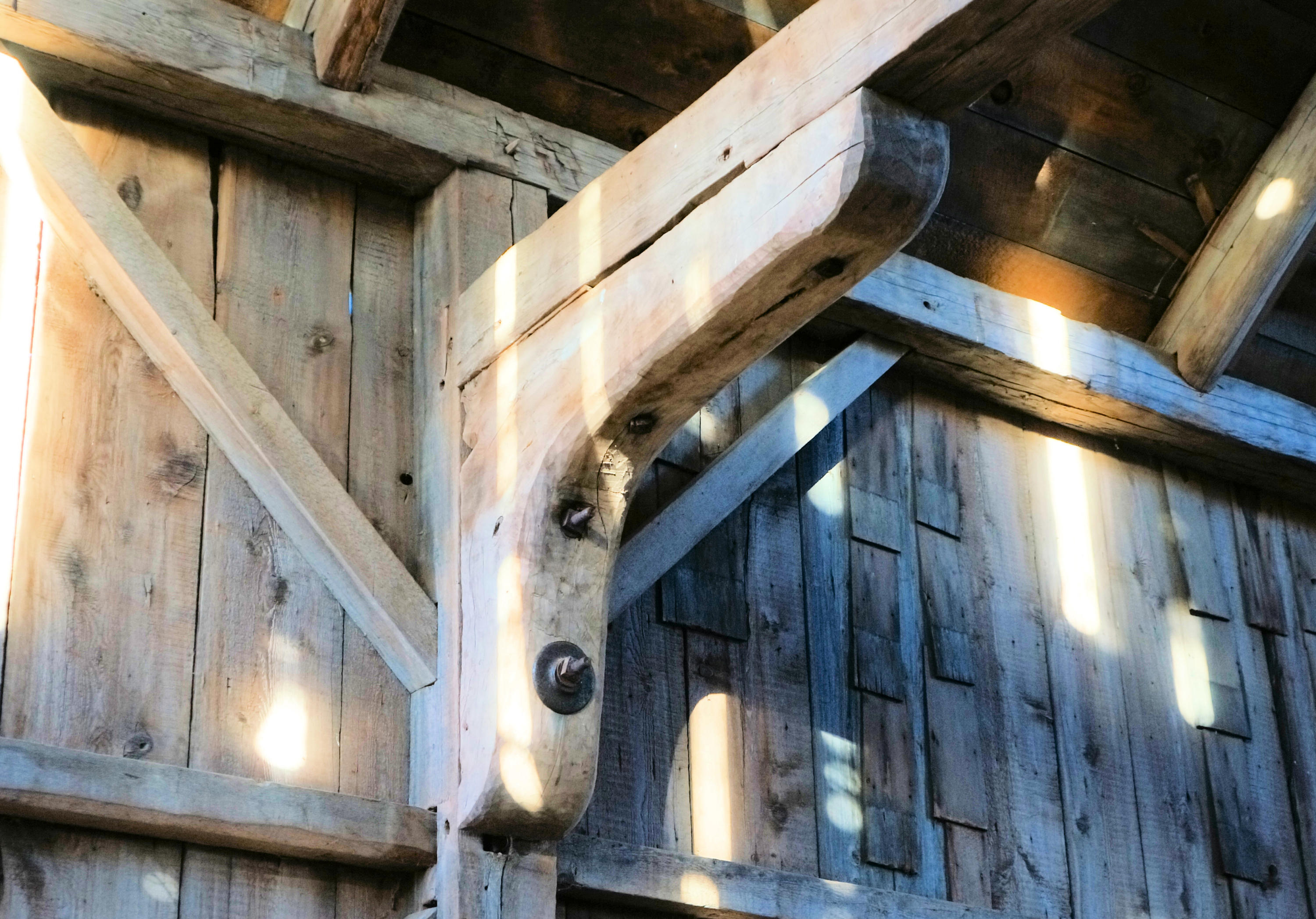 487 Airline Road Ellsworth, ME 04605 - Photo 44 of 61 timber heel
