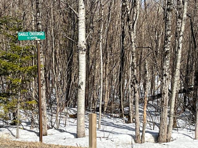 0 Daigle Cross Road Sinclair, ME 04779 - Photo 2 of 10 Daigle Cross Rd land