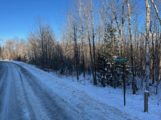 0 Daigle Cross Road Sinclair, ME 04779 - Photo 5 of 10 Daigle Cross Rd land