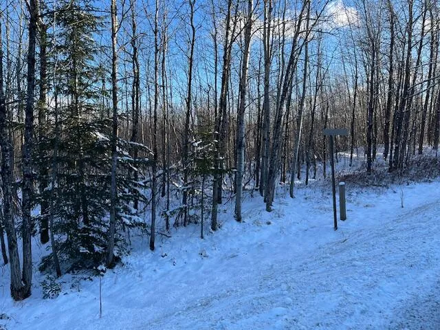 $14,900 | 0 Daigle Cross Road, Sinclair, ME 04779