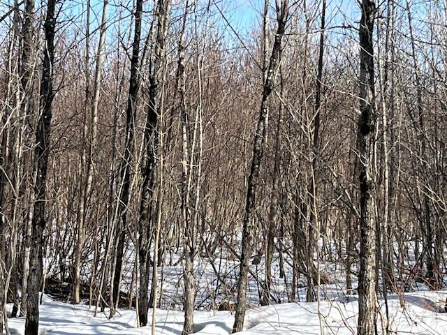 0 Daigle Cross Road Sinclair, ME 04779 - Photo 8 of 10 Daigle Cross Rd land