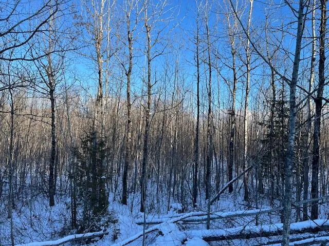 $14,900 | 0 Daigle Cross Road, Sinclair, ME 04779