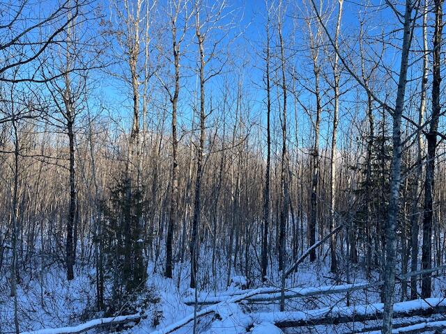 0 Daigle Cross Road Sinclair, ME 04779 - Photo 9 of 10 Daigle Cross Rd land