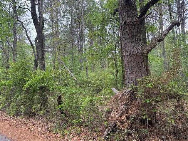 0 Pine Hollow Road Covington, LA 70435 - Photo 3 of 6