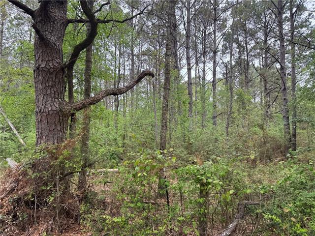 0 Pine Hollow Road Covington, LA 70435 - Photo 4 of 6