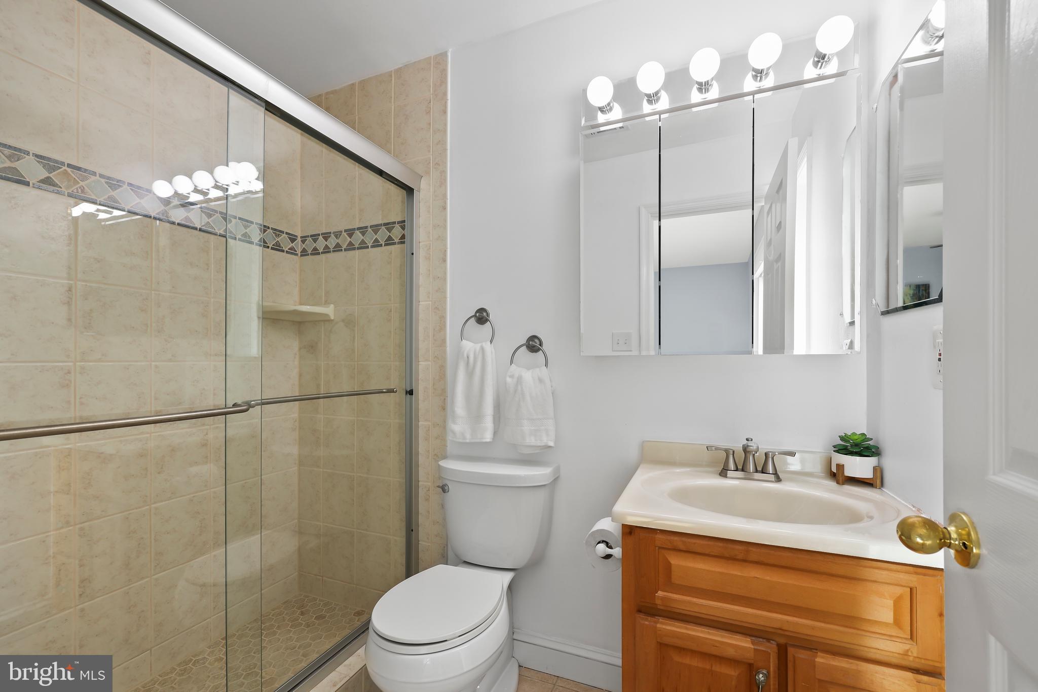 5344 Aylor Road Fairfax, VA 22032 - Photo 19 of 30 Primary Bathroom