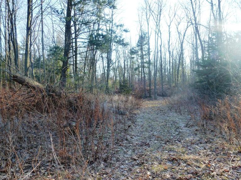 West Silver Lake Road Mears, MI 49436 - Photo 3 of 5 Additional Photo