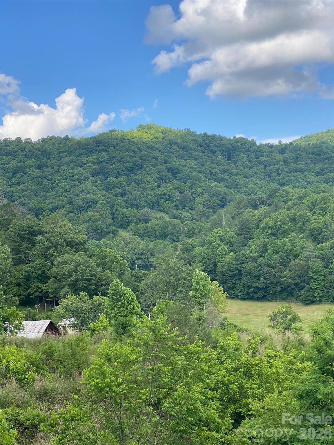 0 East Fork Road Marshall, NC 28753 - Photo 8 of 22