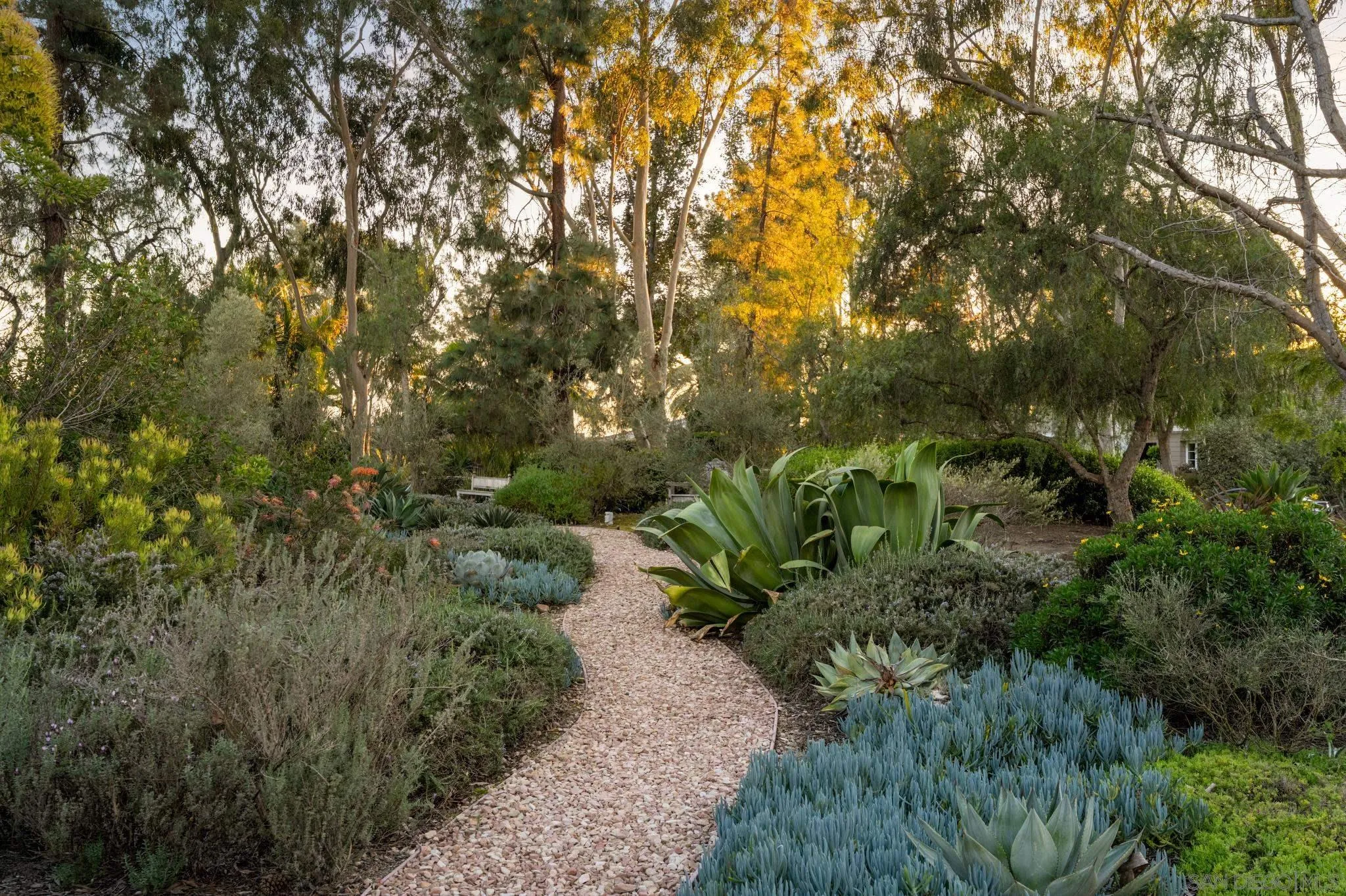 3028 Paseo Cielo Rancho Santa Fe, CA 92024 - Photo 44 of 50 a view of a garden with plants and large trees