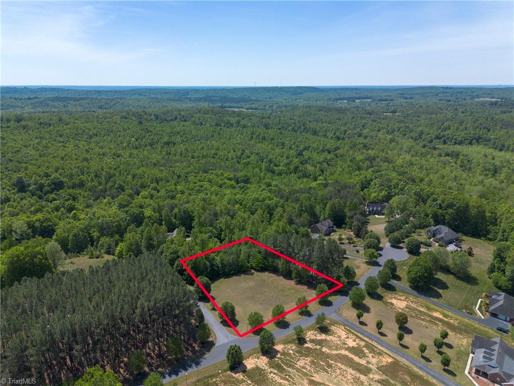0 Mossdale Road Stoneville, NC 27048 - Photo 8 of 34