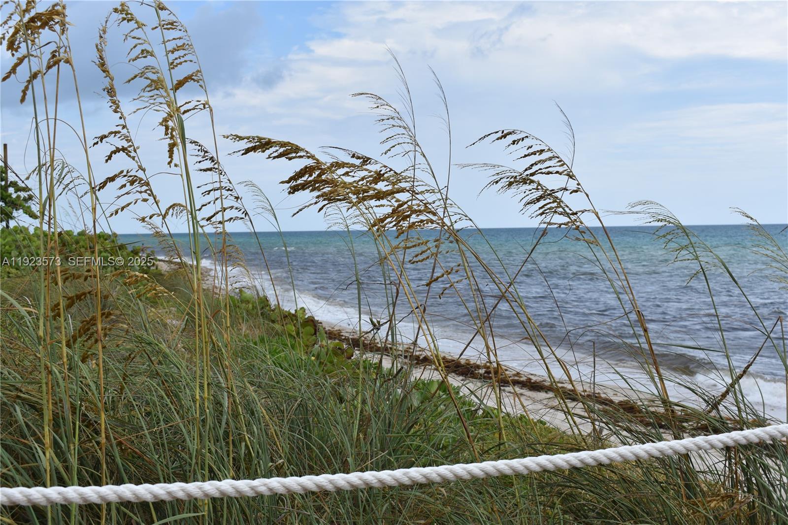 6365 Collins Avenue, Unit 3804 Miami Beach, FL 33141 - Photo 23 of 33 a view of a garden