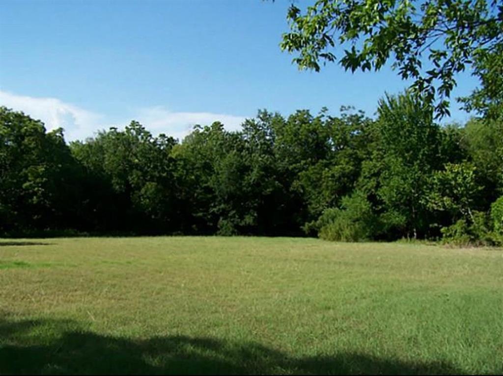 8829 Dalrock Road Rowlett, TX 75089 - Photo 4 of 7 View of yard with a view of trees