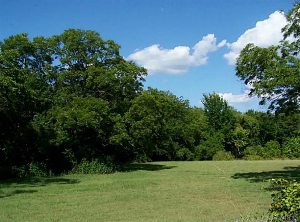 8829 Dalrock Road Rowlett, TX 75089 - Photo 5 of 7 View of yard featuring a wooded view