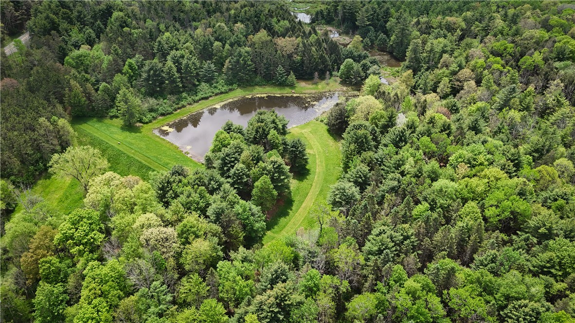 450 Dean Creek Road Spencer, NY 14883 - Photo 19 of 50