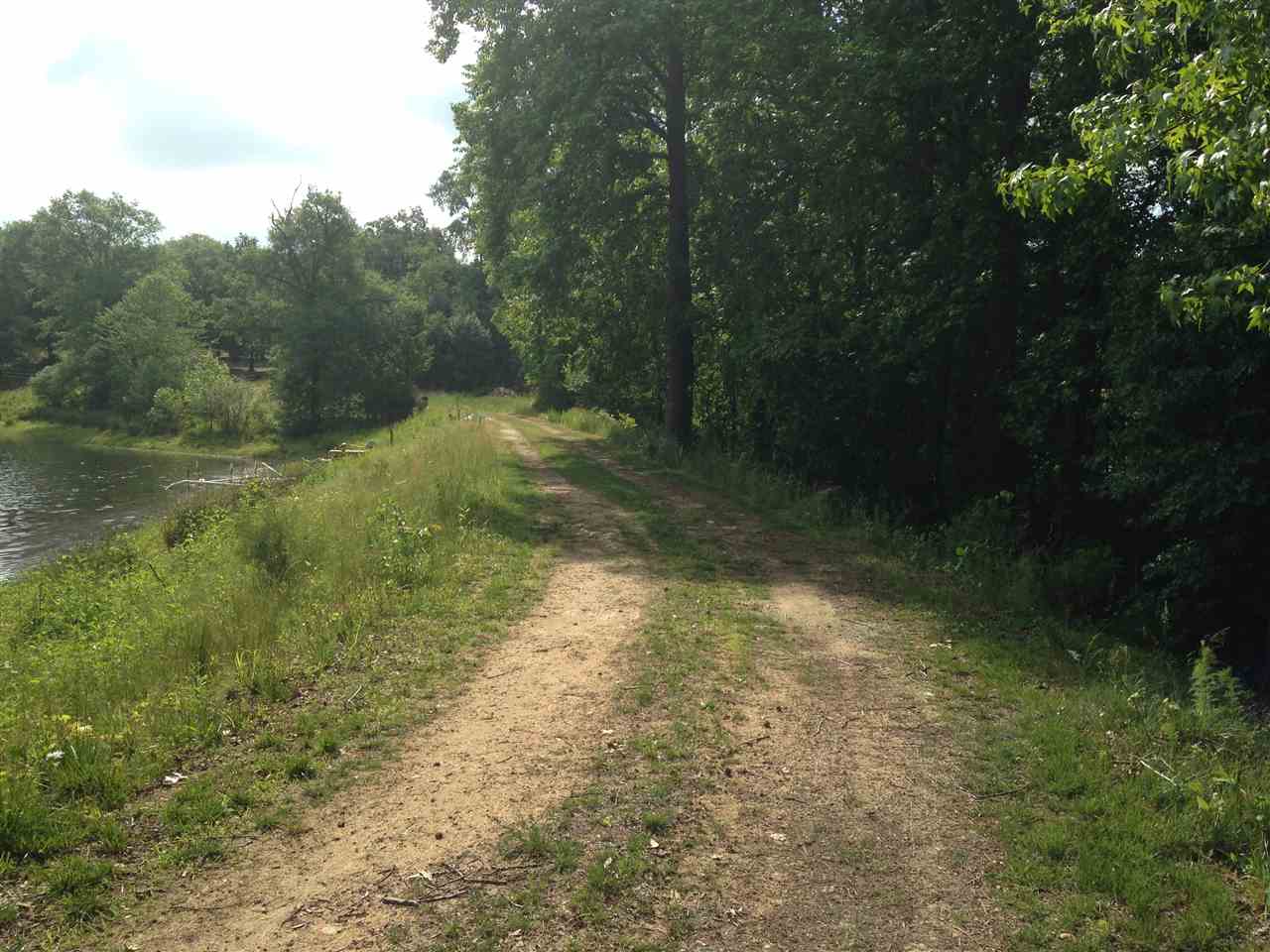 Old Georgia Road Moore, SC 29369 - Photo 12 of 26