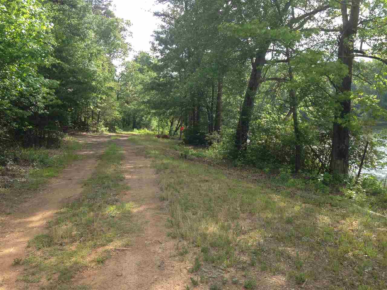 Old Georgia Road Moore, SC 29369 - Photo 17 of 26