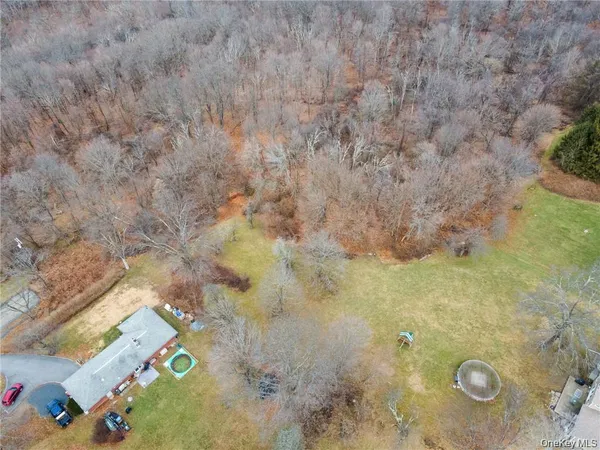 a view of a yard