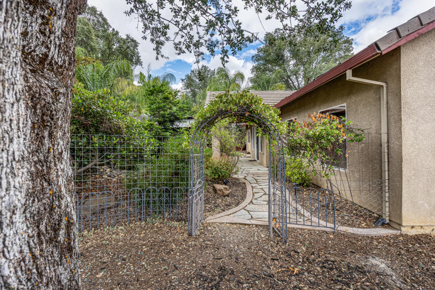 2083 State Rte 26 Valley Springs, CA 95252 - Photo 37 of 59 a backyard of a house with plants and tree