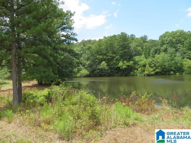 20025 Booler Road Vance, AL 35490 - Photo 40 of 48