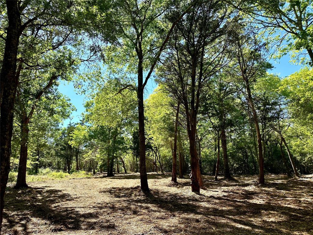 a view of outdoor space with trees