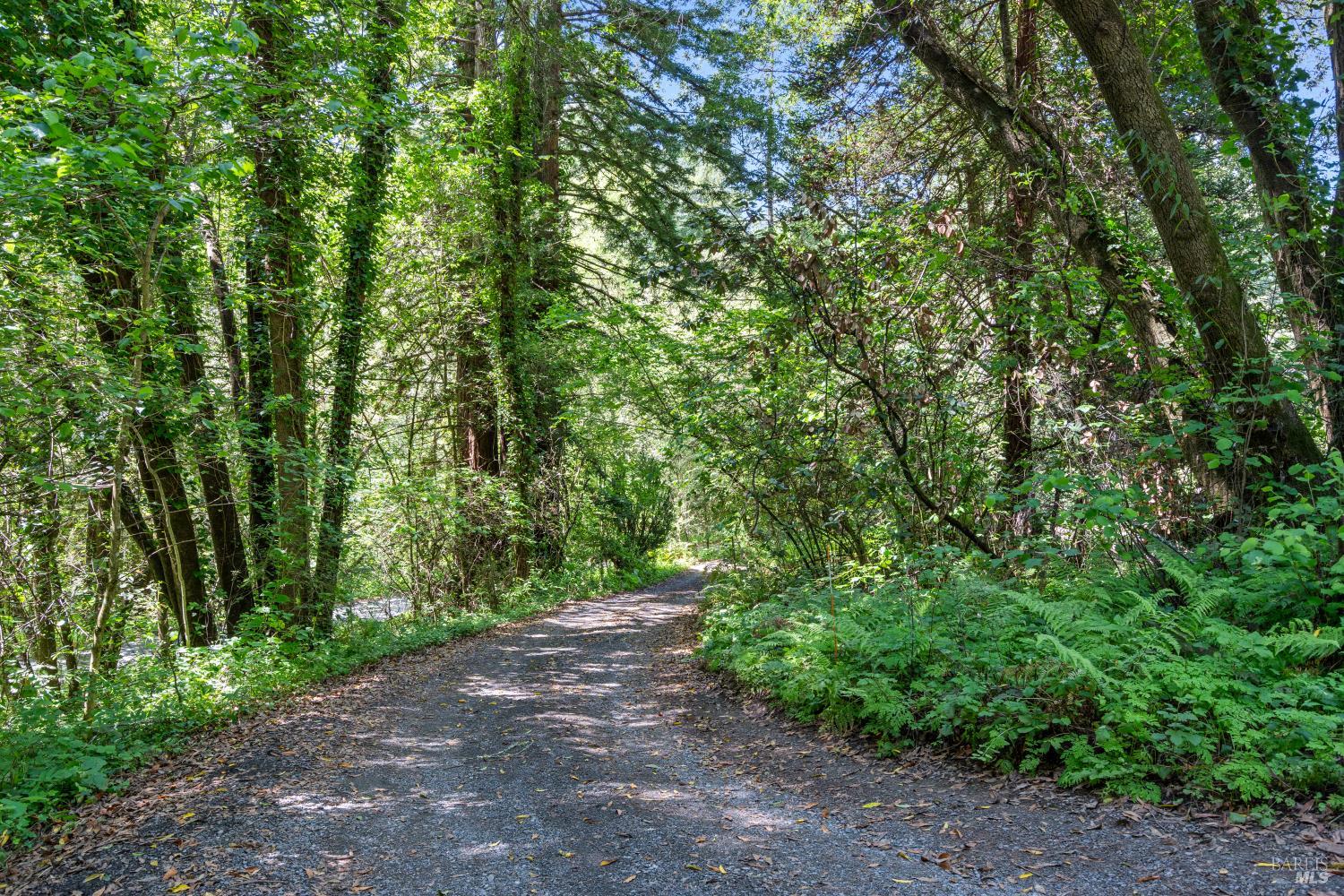 805 Wagnon Road Sebastopol, CA 95472 - Photo 52 of 56 Private driveway from Wagnon
