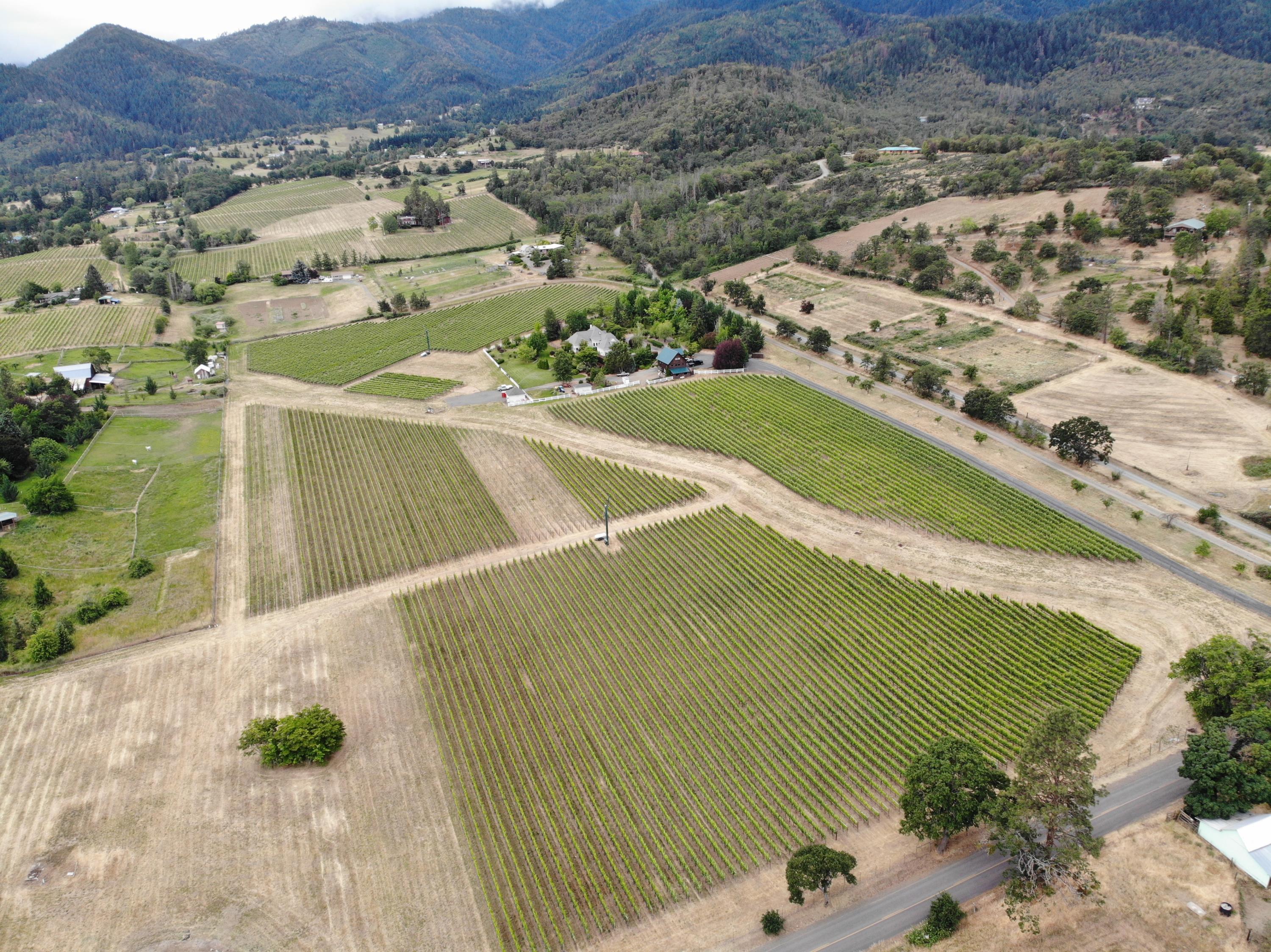 925 Anderson Creek Road Talent, OR 97540 - Photo 46 of 52 DJI_0976