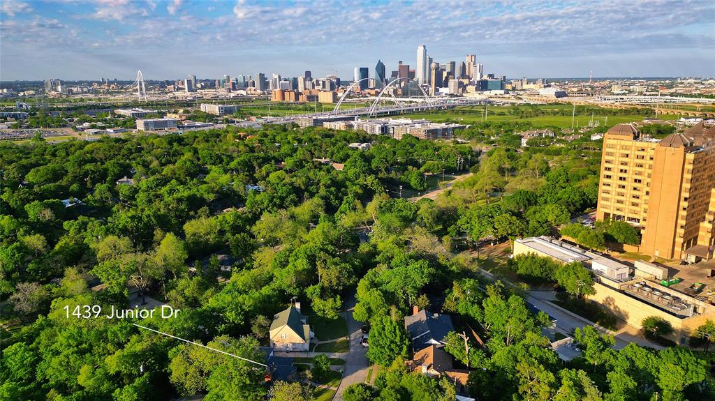 1439 Jr Drive Dallas, TX 75208 - Photo 37 of 39 a view of a city