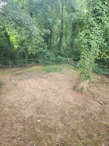 a view of a yard with a tree